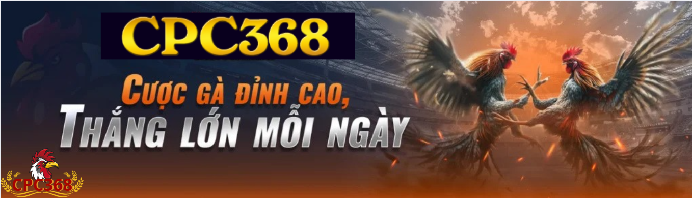 Xem daga trực tiếp